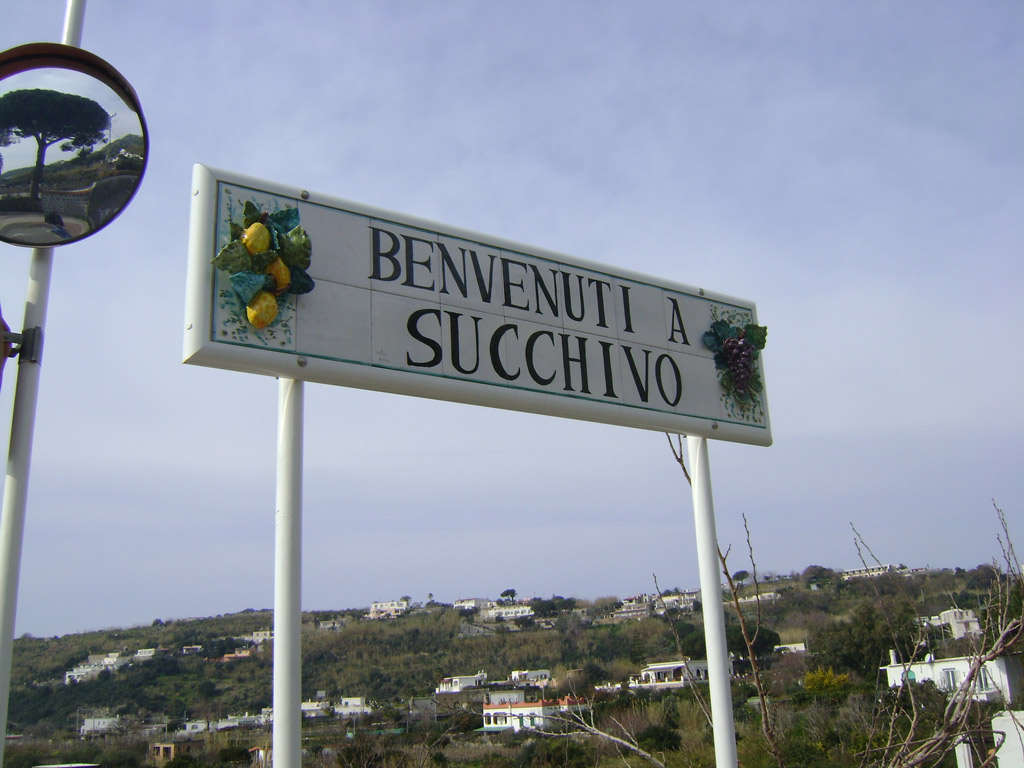 Benvenuti a Succhivo