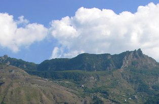 Bosco della Falanga